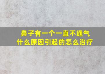 鼻子有一个一直不通气什么原因引起的怎么治疗