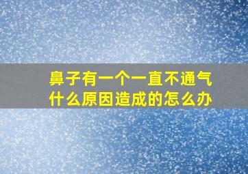 鼻子有一个一直不通气什么原因造成的怎么办