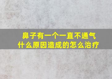 鼻子有一个一直不通气什么原因造成的怎么治疗