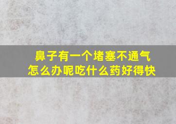 鼻子有一个堵塞不通气怎么办呢吃什么药好得快