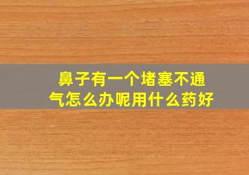 鼻子有一个堵塞不通气怎么办呢用什么药好