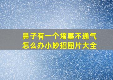 鼻子有一个堵塞不通气怎么办小妙招图片大全