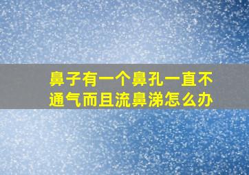 鼻子有一个鼻孔一直不通气而且流鼻涕怎么办