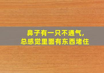 鼻子有一只不通气,总感觉里面有东西堵住