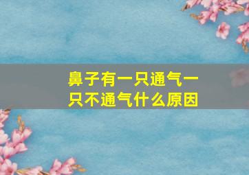 鼻子有一只通气一只不通气什么原因