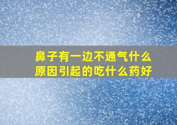 鼻子有一边不通气什么原因引起的吃什么药好