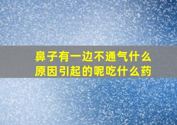 鼻子有一边不通气什么原因引起的呢吃什么药