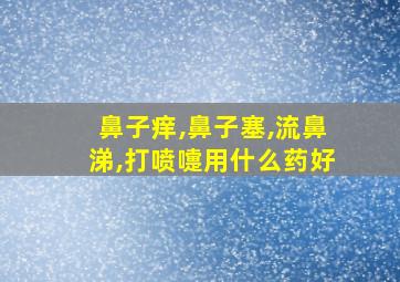 鼻子痒,鼻子塞,流鼻涕,打喷嚏用什么药好