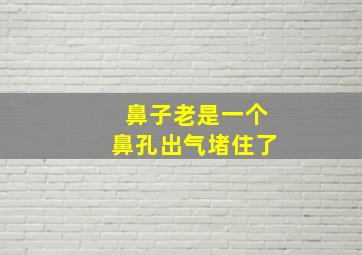 鼻子老是一个鼻孔出气堵住了