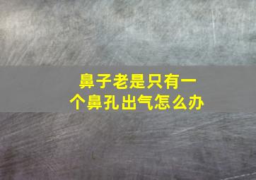 鼻子老是只有一个鼻孔出气怎么办