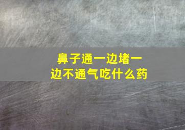 鼻子通一边堵一边不通气吃什么药