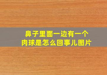 鼻子里面一边有一个肉球是怎么回事儿图片