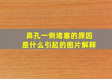 鼻孔一侧堵塞的原因是什么引起的图片解释