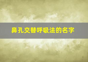 鼻孔交替呼吸法的名字