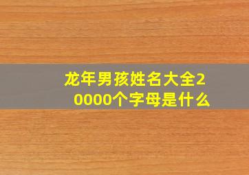 龙年男孩姓名大全20000个字母是什么