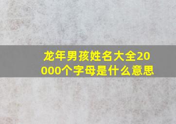 龙年男孩姓名大全20000个字母是什么意思