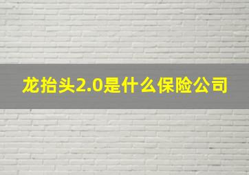 龙抬头2.0是什么保险公司