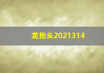 龙抬头2021314