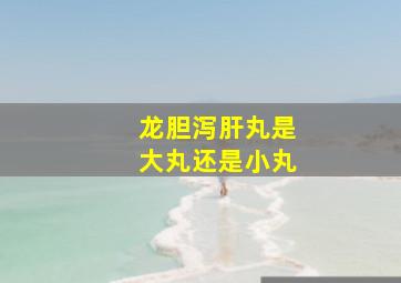 龙胆泻肝丸是大丸还是小丸