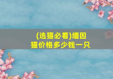 (选猫必看)缅因猫价格多少钱一只