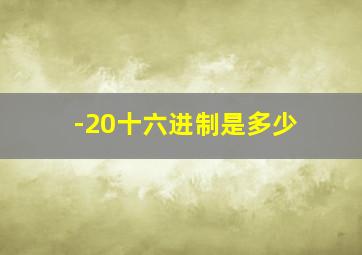 -20十六进制是多少