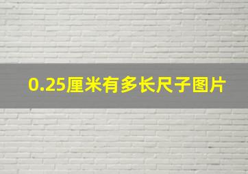 0.25厘米有多长尺子图片