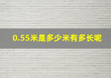 0.55米是多少米有多长呢