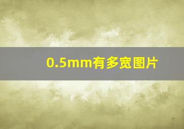 0.5mm有多宽图片