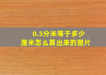 0.5分米等于多少厘米怎么算出来的图片