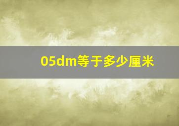 05dm等于多少厘米