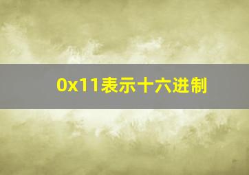 0x11表示十六进制