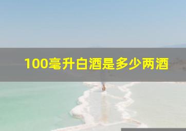 100毫升白酒是多少两酒