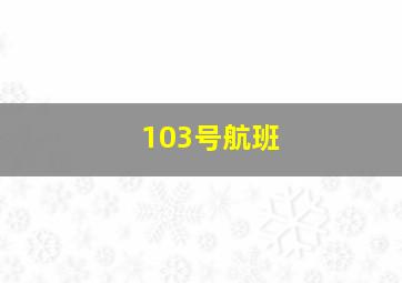 103号航班