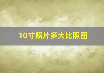 10寸照片多大比照图