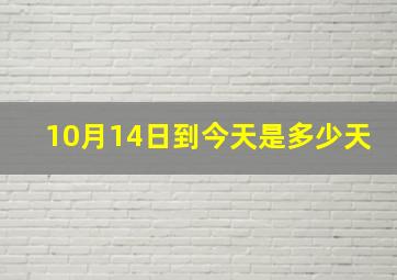 10月14日到今天是多少天