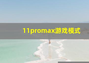 11promax游戏模式