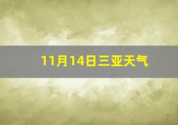 11月14日三亚天气