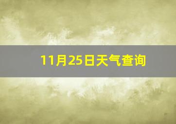 11月25日天气查询