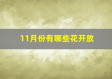 11月份有哪些花开放