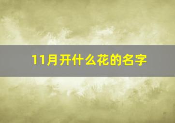 11月开什么花的名字