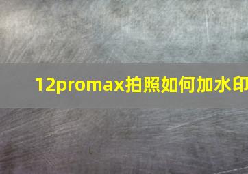 12promax拍照如何加水印