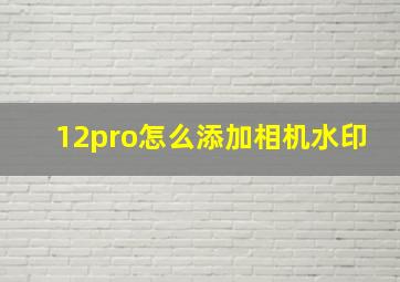 12pro怎么添加相机水印