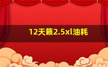 12天籁2.5xl油耗