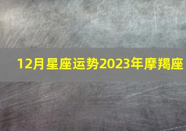 12月星座运势2023年摩羯座