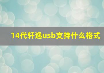 14代轩逸usb支持什么格式