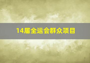 14届全运会群众项目