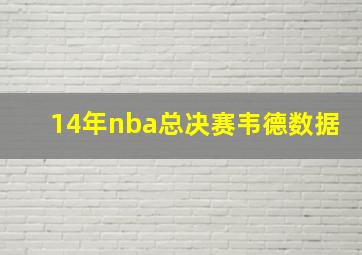 14年nba总决赛韦德数据