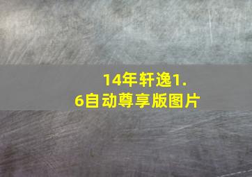 14年轩逸1.6自动尊享版图片