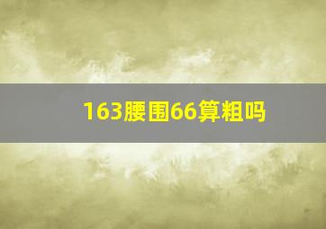 163腰围66算粗吗