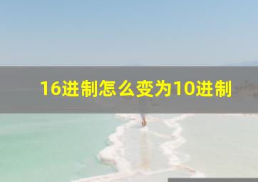 16进制怎么变为10进制